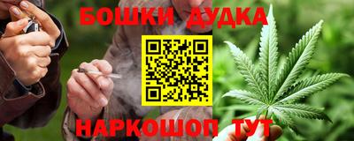 индика Тверь