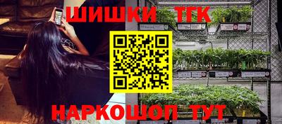 индика Тверь