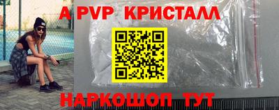 бошки Тара