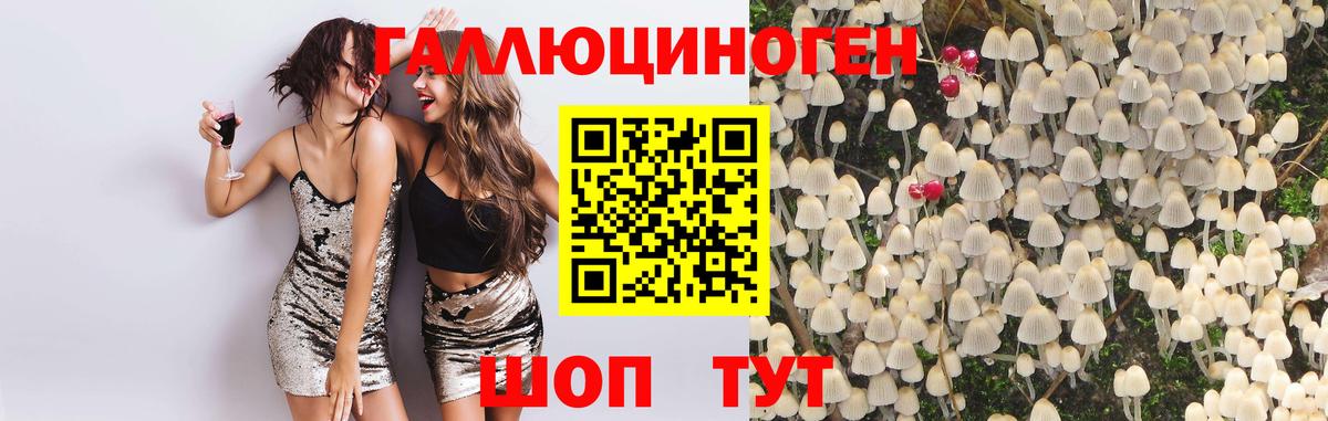 Псилоцибиновые грибы ЛСД Новокубанск