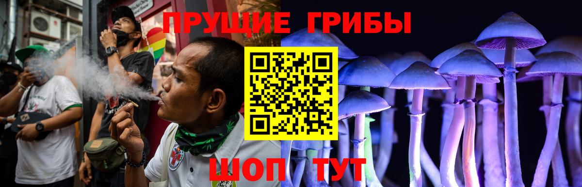 Новокубанск  Галлюциногенные грибы GOLDEN TEACHER  Вход с VPN 